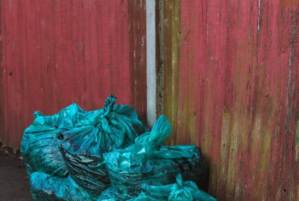 How Much of a Cannabis Plant Is Waste?